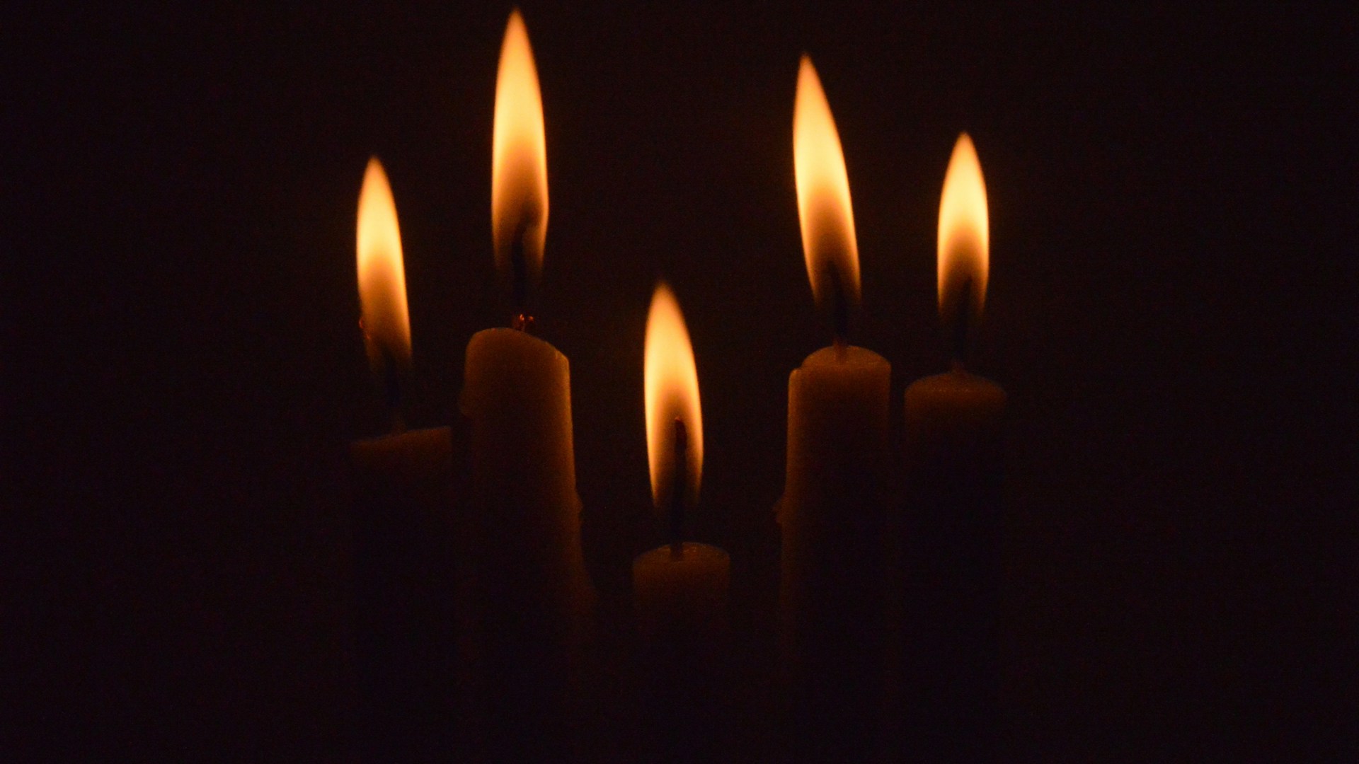 In Memoriam: Sonja Gaines